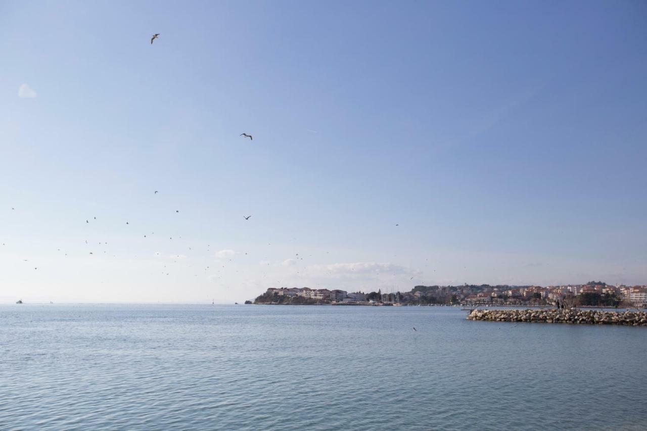 Luxury Apartments Mia Podstrana Dış mekan fotoğraf